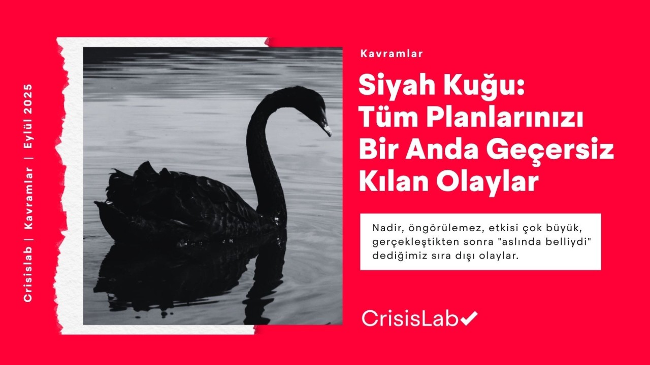 Siyah Kuğu: Tüm Planlarınızı Bir Anda Geçersiz Kılan Olaylar
